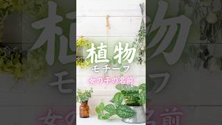 【植物モチーフ:女の子の名前】　#shorts #名前 #命名 #名付け #男の子名前 #女の子名前 #赤ちゃんの名前   【VOICEVOX:冥鳴ひまり】