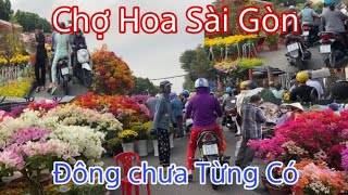 Nhộn Nhiệp Không Khia Tết, Chợ Hoa Đông Đúc Chưa Từng Thấy, Giá Hoa Thời Điểm Hiện Tại