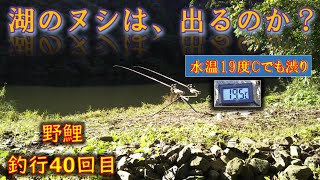 湖のヌシを求めて鯉釣り　【釣行40回目】