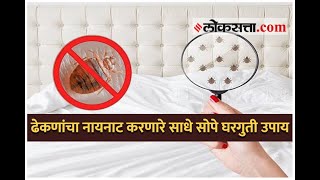 ढेकणांचा नायनाट करणारे साधे सोपे घरगुती उपाय | Home remedies to get rid of Bed bugs