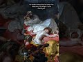 Chaos and Majesty: The Dark Beauty of Sardanapalus #art #history #arthistory #painting