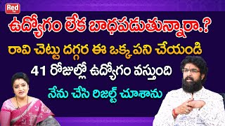 ఉద్యోగం లేక బాధపడుతున్నారా.? రావి చెట్టు దగ్గర ఇలా చేయండి 41 రోజుల్లో ఉద్యోగం| Vikramaditya | RedTV