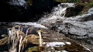 പാറയിലൂടെ തെന്നി ഒഴുകുന്ന വെള്ളം|floating water|WonderHearts