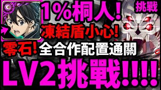 【阿紅神魔】SAO桐人😱『新合作LV2挑戰通關！』🔥凍結盾注意🔥全合作配置！【骸骨獵殺者】【收割生靈的骨鐮 Lv 2】【光劍神槍 ‧ 桐人】【冰之狙擊手 ‧ 詩音】【阿紅實況】