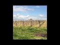 the tiny vineyard of château guillot clauzel