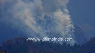 Forest fire around Mussoorie - Climate change and dry summers are leading to a drier Himalaya