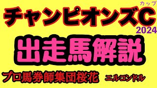 エルコンドル氏のチャンピオンズカップ2024出走馬解説！！ジャパンカップだけじゃない！今年のダートのG1レースも楽しみなメンバー揃った！レモンポップ有終の美を飾れるか！