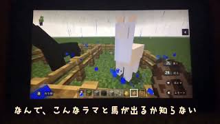 マイクラ、バージョン1.19.20やってもバグったラマと馬は、なぜか出てくる。本当になんで？