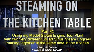 STEAMING ON THE KITCHEN TABLE - PART #2