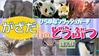 【フラッシュカード】☆ひらがなのお稽古＆語彙力のアップに☆「が・ざ・だ行の動物〜哺乳類編〜」