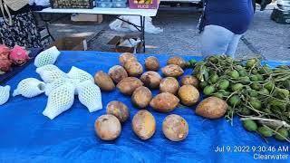 Farmers and flea market in Clearwater, Florida.