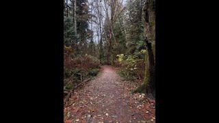 Pacific Spirit Park In November