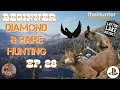 Beginner Diamond & Rare Hunting Ep 28 theHunter Call of the Wild