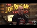 jre 2029 free speech echo chamber and censorship uncensored