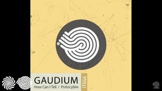 Gaudium - Psilocybin