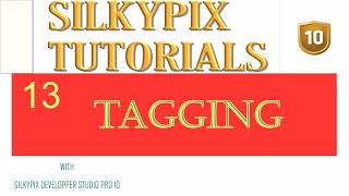 HOW TO TAG AN IMAGES  IN SILKYPIX DEVELOPER STUDIO PRO