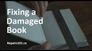 Fixing a Damaged Book