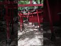 六甲八幡神社のお稲荷さん。 神社 　 稲荷　＃六甲