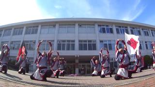 2016秋大祭_ヤートセ秋田酔楽天(1回目)