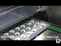 how to make cookies pritul wire cut cookies biscuit machine call 9897989181