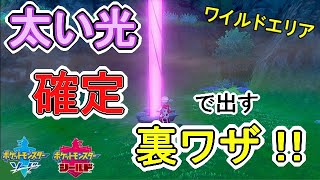 「ワイルドエリア」太い光を確定で出現させる裏ワザ！！【ポケモンソードシールド】【ポケモン剣盾】