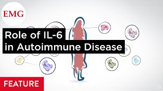 The Role of IL-6 in Autoimmune Disease