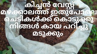 കിച്ചൻ വേസ്റ്റ് മഴക്കാലത്തു ഇതുപോലെ ചെടികൾക്ക് കൊടുത്ത് നോക്കു ||@urbanroots9