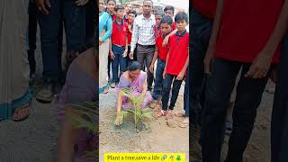 Plant a tree, save a life 🌴🌲| Gps Bhanegaon#savetrees #school