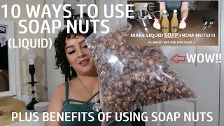 1O WAYS TO USE SOAPNUTS + BENEFITS OF USING SOAPNUTS