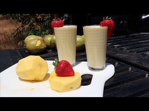 How not to make a mango smoothie How not to make a mango smoothie