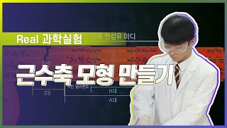 근수축 모형 만들기 l Real 과학 실험