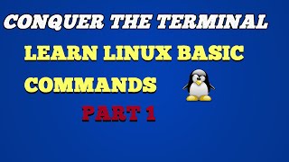 Conquer the Terminal: Learn Linux Basic Commands (Part 1)