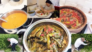 Zeytİn YaĞli Yaprak Sarmasi - YaŞ Tahrana Çorbasi - BahÇe Budamasi - Vlog