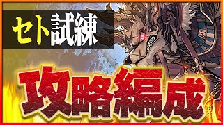 【試練ダンジョン】セト試練進化用編成！ノアループで簡単攻略！【パズドラ】