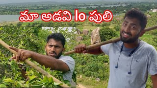 మా అడవి lo పులి 2023 #pitlam #forest