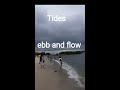 beach vocabulary spoken english shorts