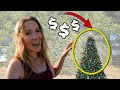 $60,000/ACRE?! (Big Money or Big FLOP?) Christmas Tree Farming 101 Interview With Retired Farmer