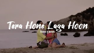Tera Hone Laga Hoon| Slowed & Reverb| Ranbir Kapoor| Katrina Kaif| Ajab Prem Ki Ghazab Kahani|