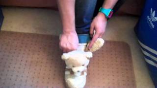 Pauly P Adidas x Jeremy Scott Teddy Bear Shoe Review