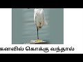 கனவில் கொக்கு வந்தால் என்ன பலன்கள் kanavu palangal tamil