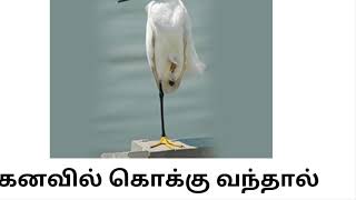 கனவில் கொக்கு வந்தால் என்ன பலன்கள் kanavu palangal tamil