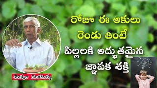 రోజూ ఈ ఆకులు తింటే పిల్లలకు అద్భుతమైన జ్ఞాపకశక్తి|Saraswathi Plant|Mokkala Venkataiah|Health Bhumi|