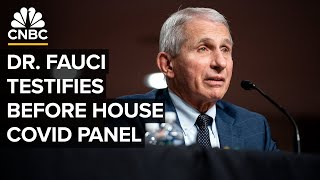 Dr. Anthony Fauci testifies before House subcommittee on Covid-19 pandemic — 6/3/2024
