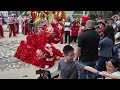 新加坡藝威體育會 singapore yiwei athletic association lion dance performance 19.01.2025