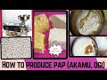 How to Produce #Pap#Akamu#Ogi#Cornmeal   from Corn🌽