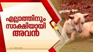 'എല്ലാത്തിനും അവൻ സാക്ഷി'; ഉറ്റവരെ കാത്ത് ആ നായ ഇപ്പോഴും ഇവിടെ അലഞ്ഞുതിരിഞ്ഞ് നടപ്പുണ്ട് | Arjun