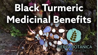 Black Turmeric Benefits