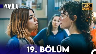 Avlu 19. Bölüm (4K)