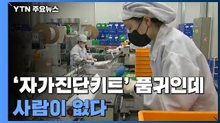 '자가진단키트' 품귀인데 구인난에 공장 가동률 '절반' / YTN