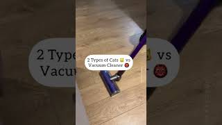 Two Maine Coon Cats vs Vacuum Cleaner 🙀 #lifewithcats #funnycats #catfacts